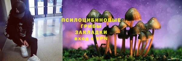а пвп мука Аша