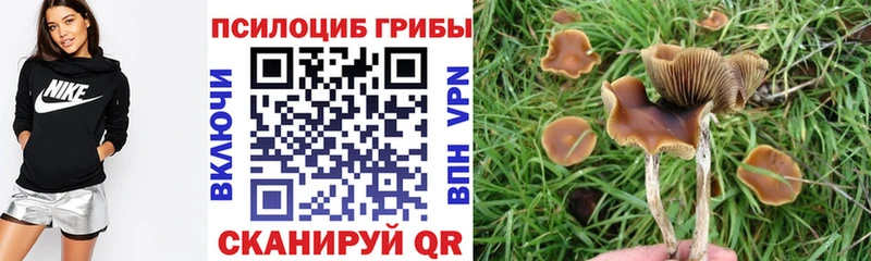 Псилоцибиновые грибы ЛСД  Волгодонск 